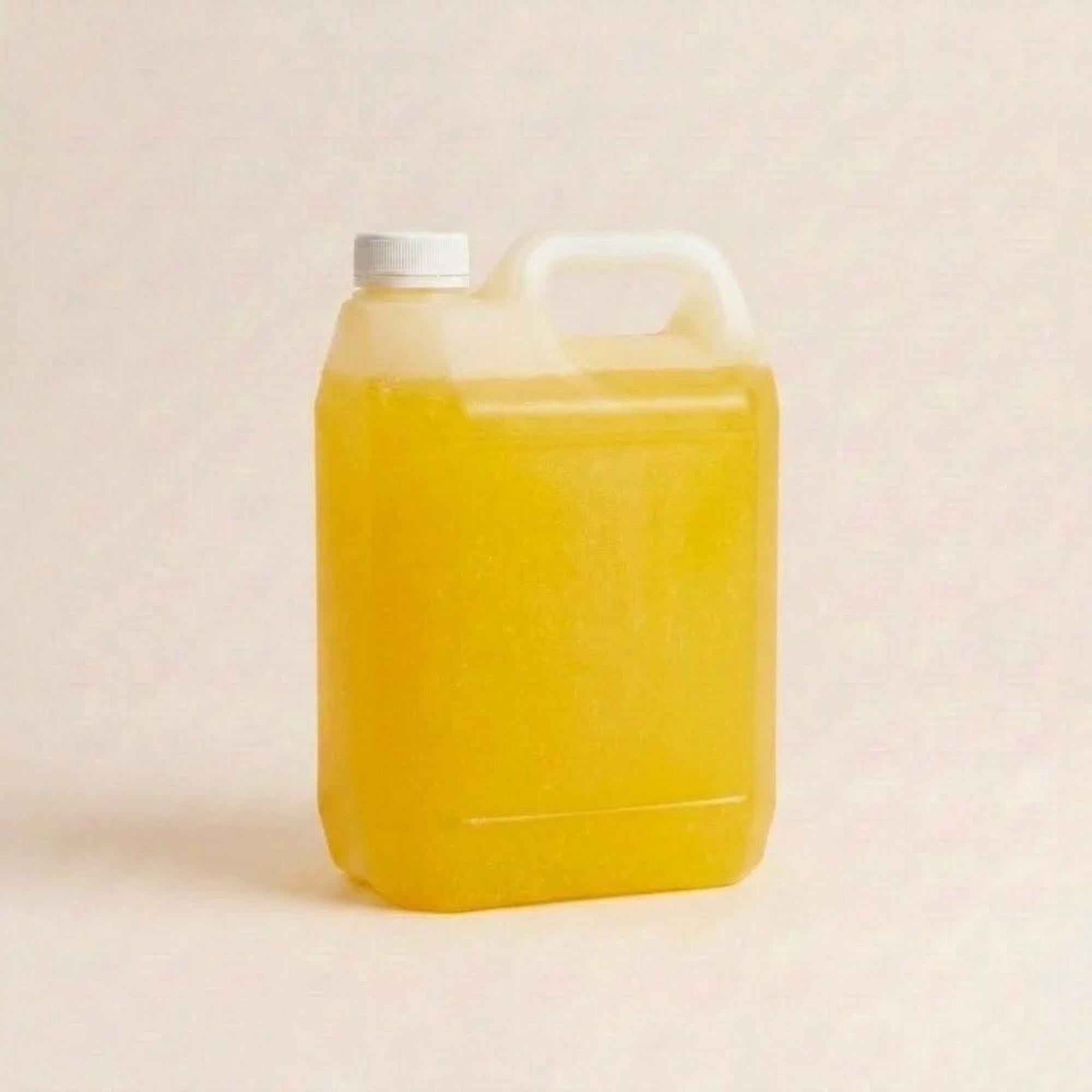 Slush Ice Ananas 2 liter til festudlejning hos Minglo
