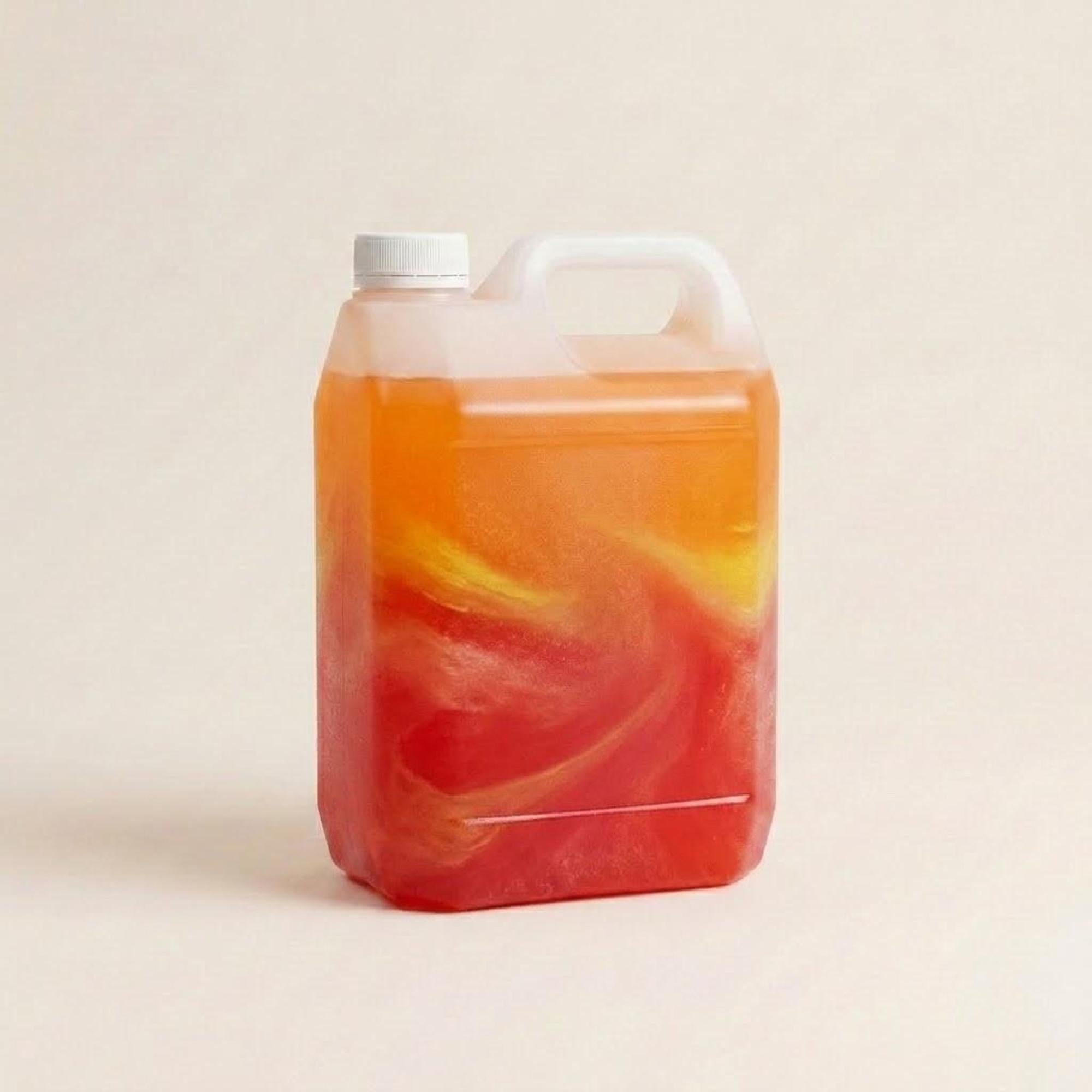 Slush Ice Filur 2 liter til festudlejning hos Minglo